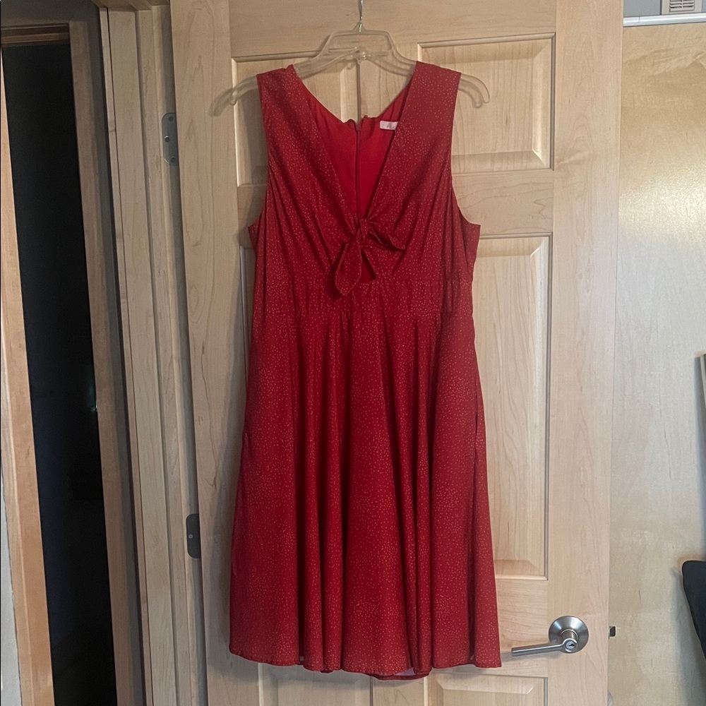 Hutch Vibrant Red Mini Dress